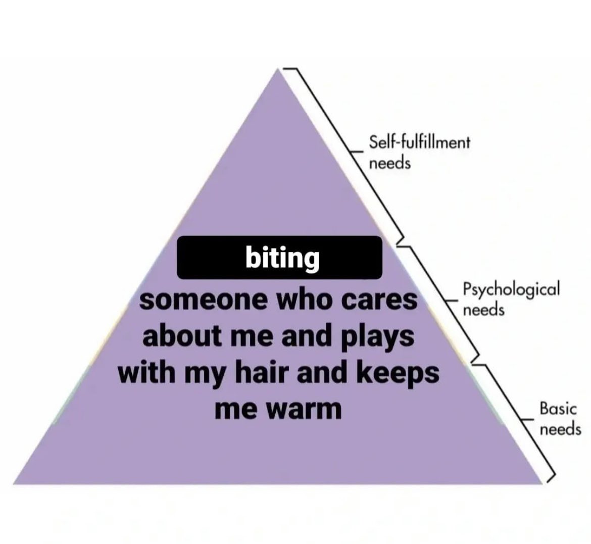 tristehomo's tweet photo. https://t.co/FTEM4NdYxU