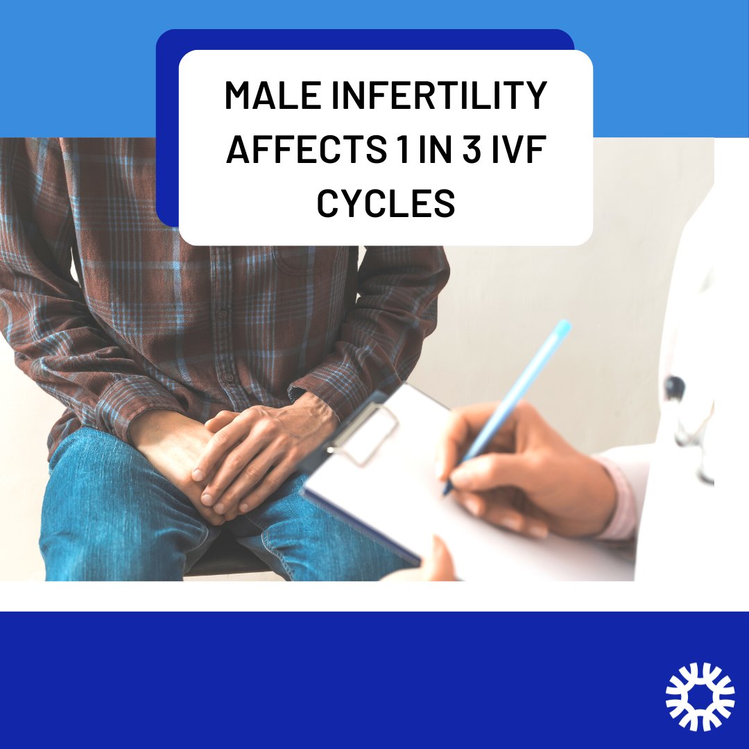 A new report released by the Australia and New Zealand Assisted Reproduction Database (ANZARD) has shown that about 1 in 3 of all IVF cycles performed in 2020 included a diagnosis of male infertility. Read more here: varta.org.au/resources/news…
