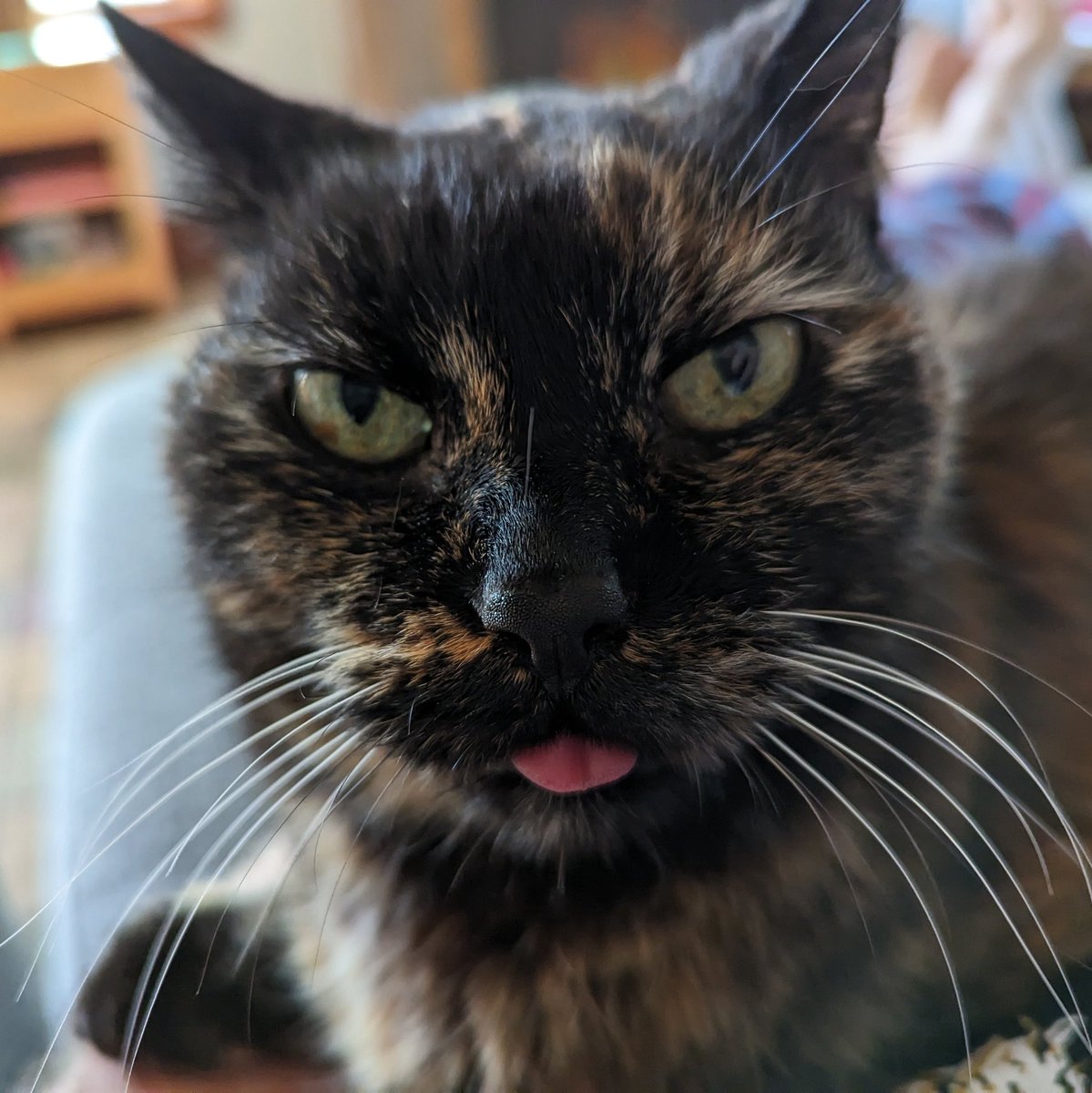 @jerickso@infosec.exchange tweet media