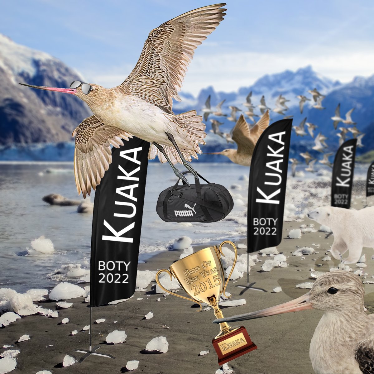 Heard that last years' BOTY was won by a BAT 🥴

Dw Aotearoa, your favourite underbird is back to smash the competition & secure another win for the waders💪

#KuakaforBOTY22 #Kuaka #MightyKuaka #birdoftheyear2022 #BirdOfTheYear #nzbirdoftheyear #boty2022 @Forest_and_Bird