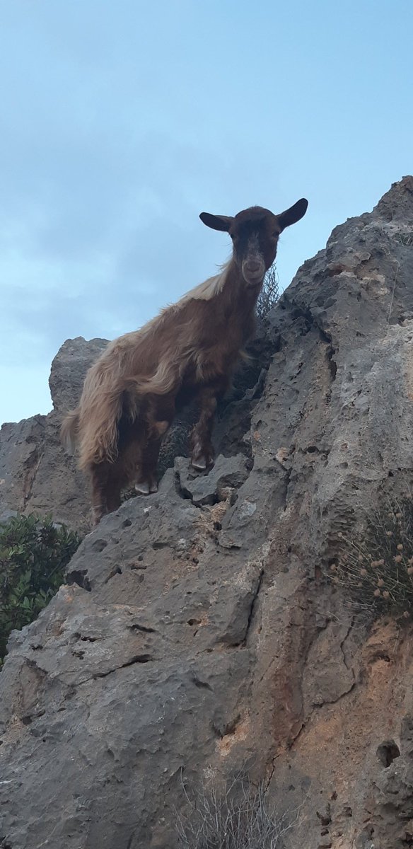 Ausschau halten.
Wochenende wo bist du ?