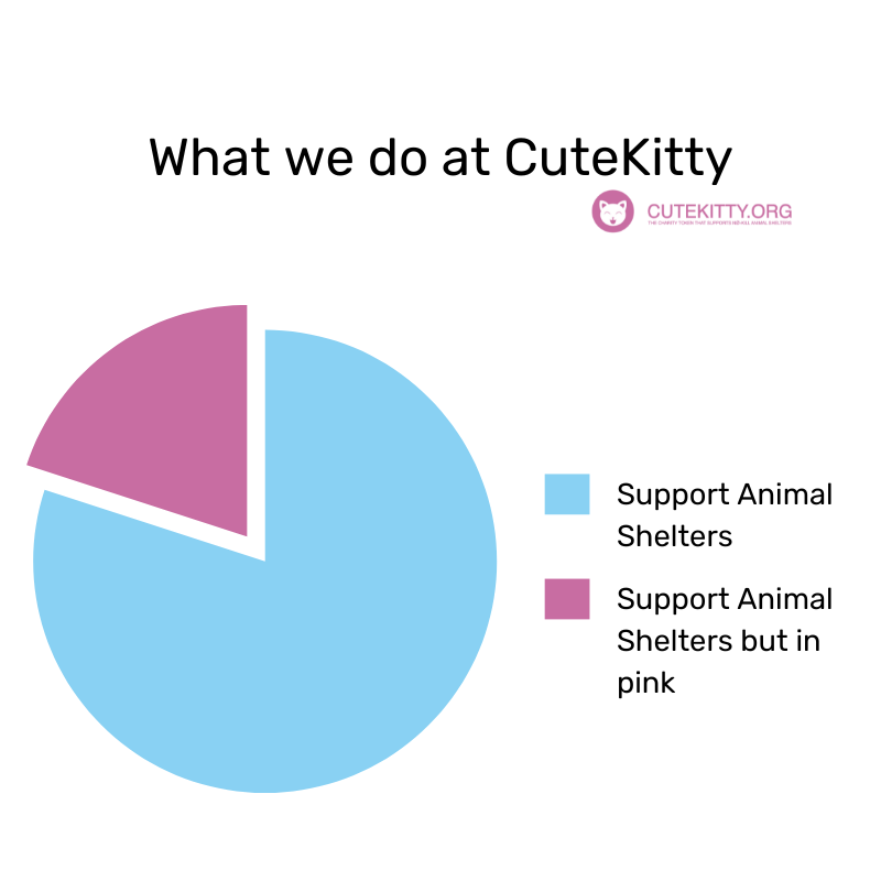 cutekittyorg's tweet photo. Here's our Meow-ntra 😺🚀🐈

#cryptomemes #catmemes #animalrescue #animalshelters #supportcharity #animalcharity #Donations https://t.co/n46VYcXj7r