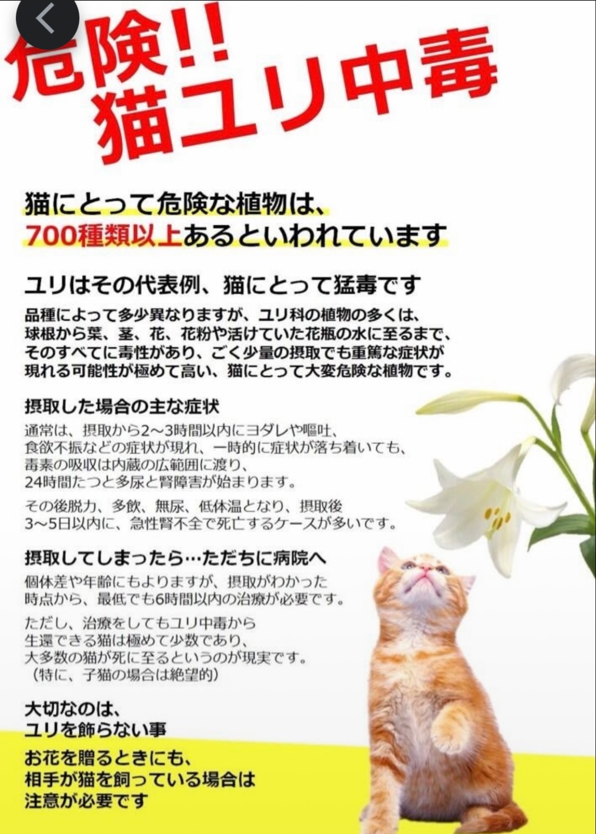 Tweets With Replies By ろはす Vvvvmom Twitter