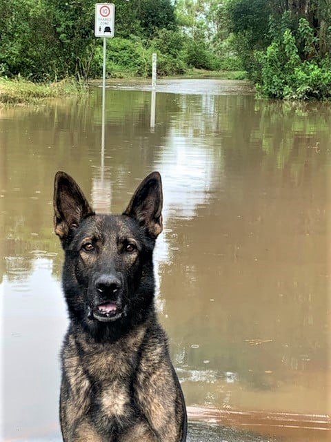 Severe weather warnings have been issued for intense rainfall and potential flash flooding predicted to impact many parts of Queensland and police are urging the community against complacency and are advising people to stay up to date and stay informed: mypolice.page.link/VjiX