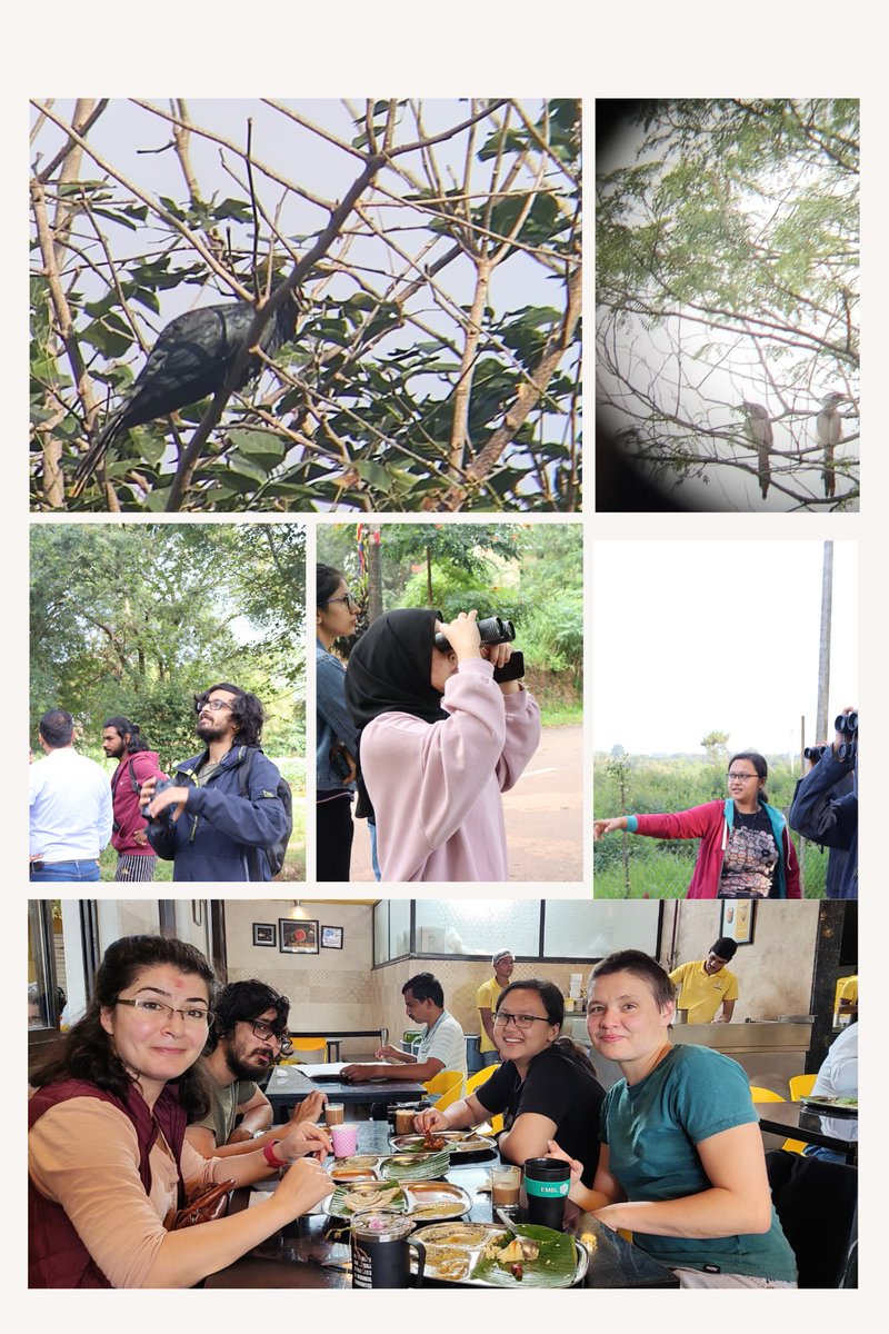 BLiSC_India's tweet image. #EMBOMicroCom
Day 4 for participants @BLiSC_India began early with a bird-watching excursion to the University of Agriculture Sciences, GKVK @BangaloreUas, followed by a hearty South-Indian breakfast.
With @EMBO @EMBLEvents @EMBLHeidelberg