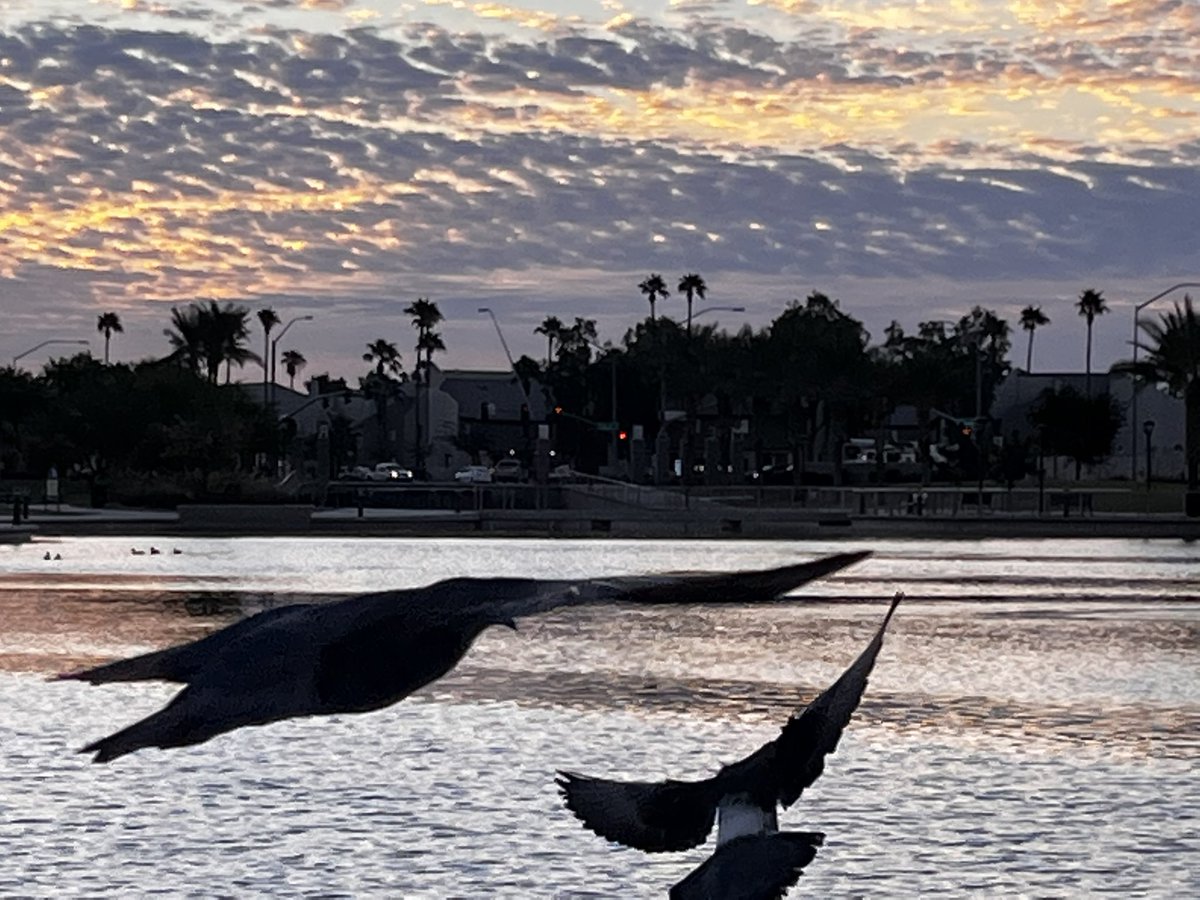 KrysDevine's tweet photo. Some scenery I captured from this weekend at @IUFOC. Beautiful venue.  @shanefrakes @jenny_gomberg @DaYarbo #ufotwitter #uaptwitter #iufocongress #Phoenix #photograph https://t.co/GHZFNUBwrc