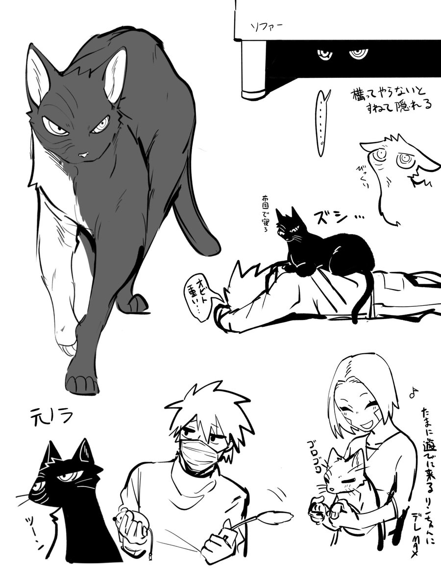 YMN_6pk's tweet photo. 猫化obtの妄想続き https://t.co/1heWa0pFK5
