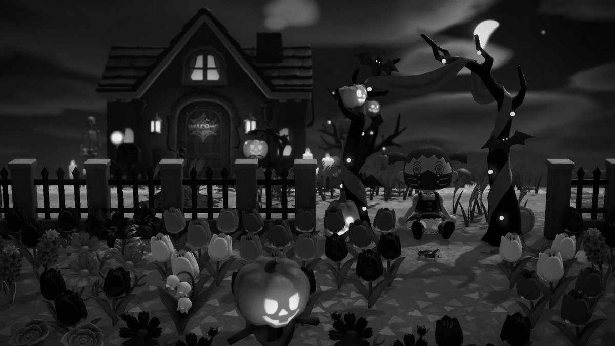 nova_kace's tweet photo. haii would anyone like to come to my island for halloween festivities🎃🧡 (im giving away free spooky gifts)

✨i can open my island on the 29th, 30th, &amp; 31st (time will be set to the 31st at nighttime)

🧡reply or dm me🧡

please RT 🙏🏼

#ACNH #animalcrosstober #AnimalCrossing https://t.co/zUnSKv7iRD