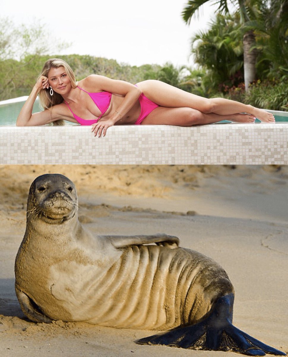rolaxdontdoit's tweet photo. #WYATR @ArdenMyrin @annahossnieh how bachelor contestants look lounging on a day bed in paradise vs how I would look: https://t.co/4mOTIbFD1j