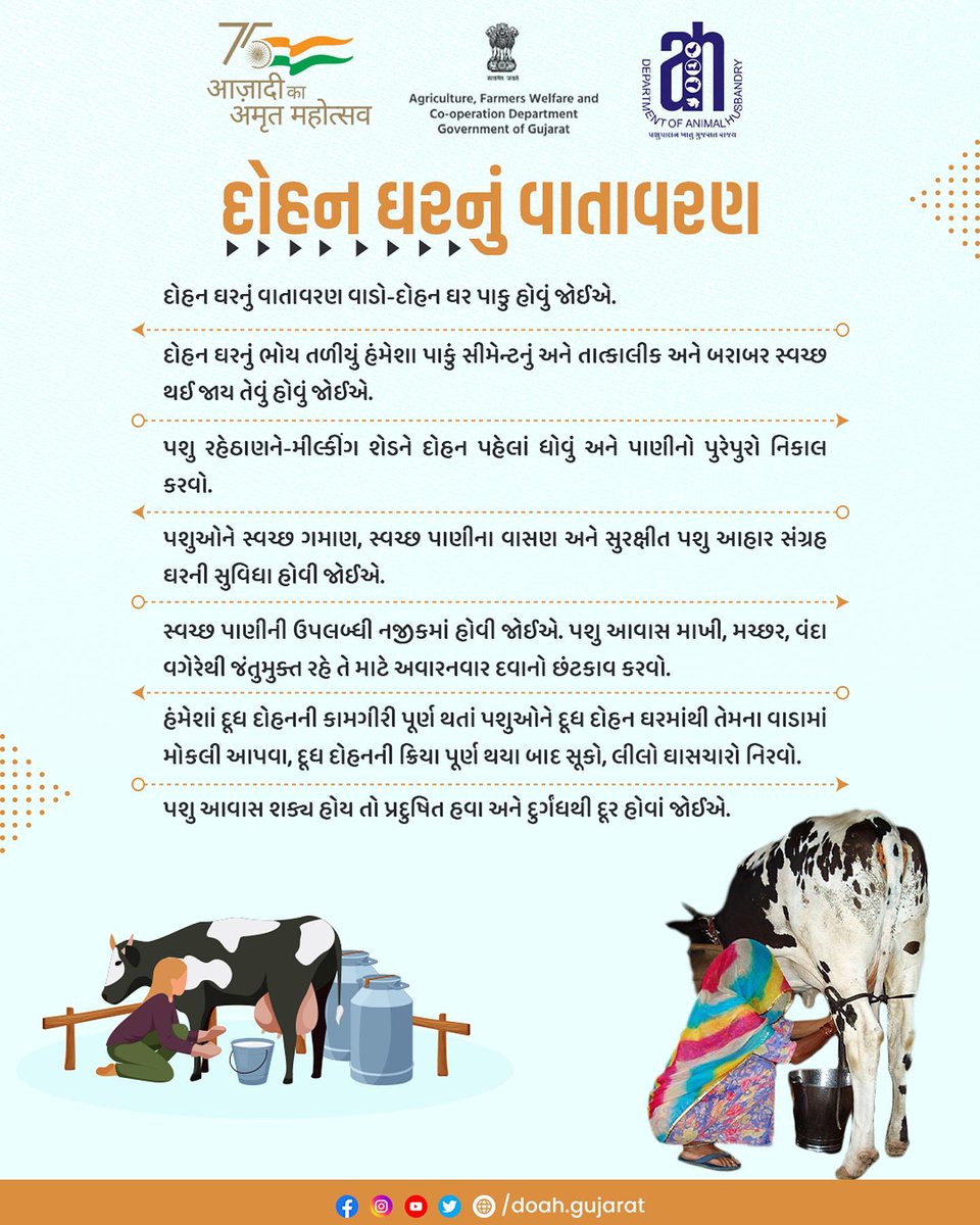 DAH_DAHOD's tweet photo. દોહન ઘરનું વાતાવરણ કેવું હોવું જોઈએ, તેના વિશે સંપૂર્ણ માહિતી જાણૉ.
#doah #departmentofanimalhusbandry #gujarat #animals #gujaratinformation #governmentofgujarat #pasupalak #animalhealth #animalhealthcare #animalsmatter #milked #animalhealthtips #Dahod https://t.co/w9gQtQ4v8N