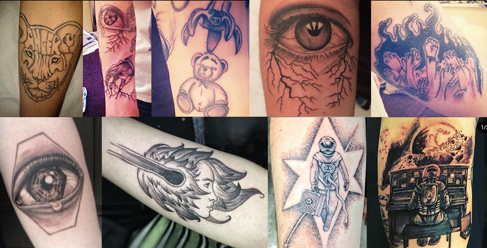 Kai 🦉 tweet media