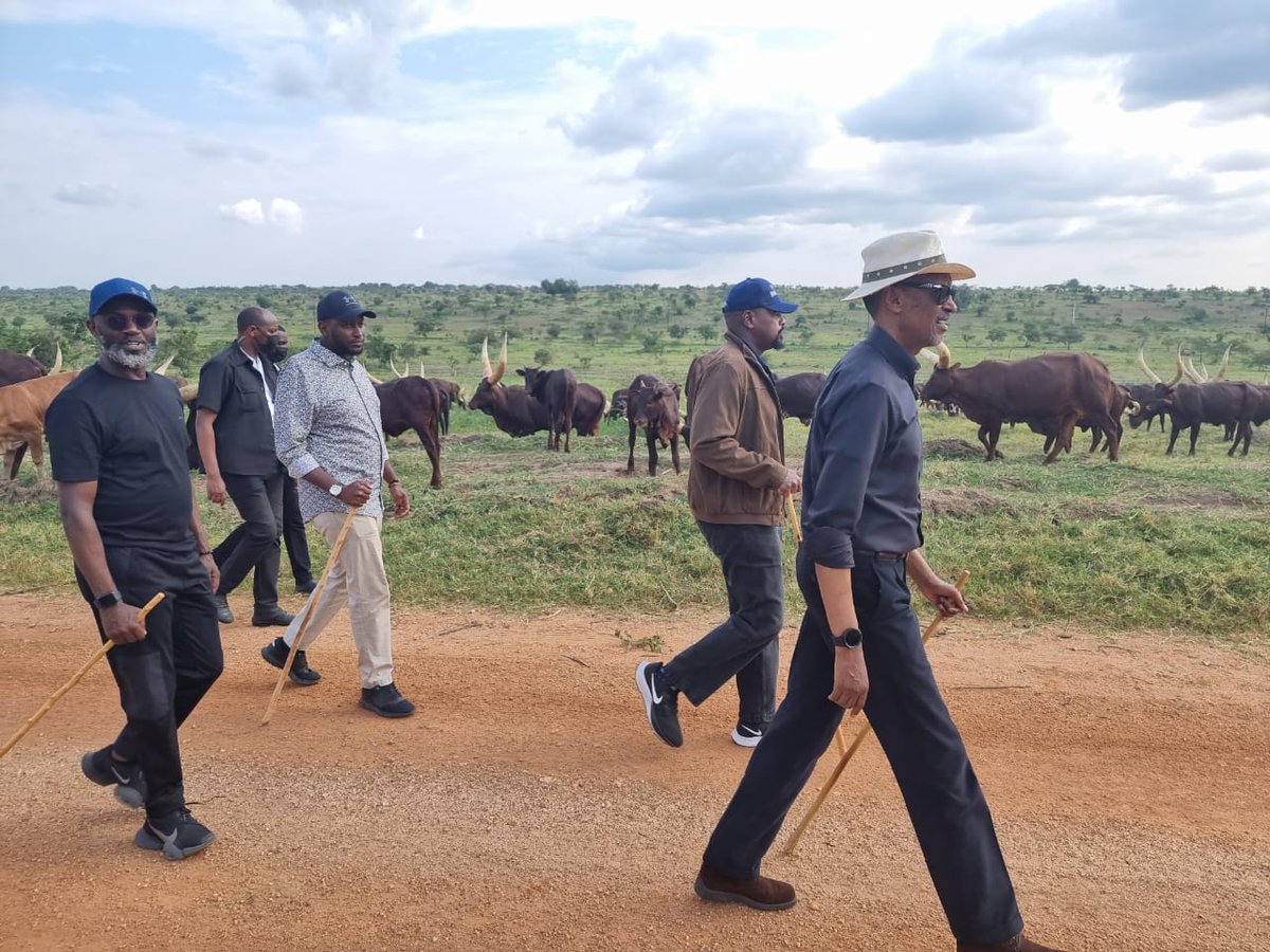 mkainerugaba's tweet photo. Ebyevugo, heroic poems of how Afande @PaulKagame and Inkotanyi liberated our people in Rwanda, plus more cattle keeping. https://t.co/I3yY4tBYgo