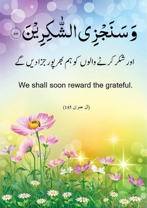 sandhu_hamid's tweet photo. @roseflourish_13 Halcyon Morning & auspiciously successful, healthy & jaunty day my children!
Humility & Patience & tolerance attributes are very rare these days ,baity Maryam!
Good halcyon, serene Morning to you #Rose #SSaba #JKD
MY Prayers your way as always My dears ones
🅱️🆎️🅰️ https://t.co/fVoZHtAAgZ