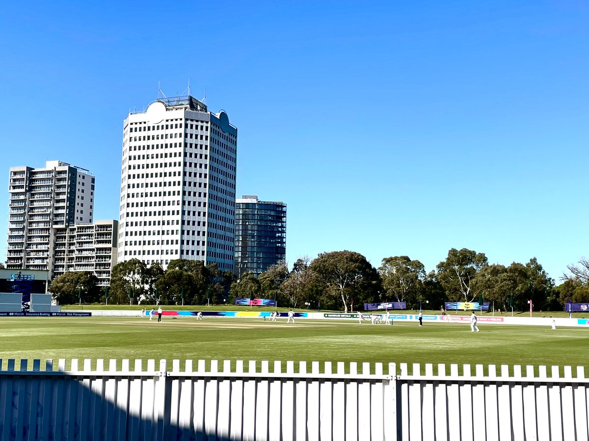 ktrimpie tweet media