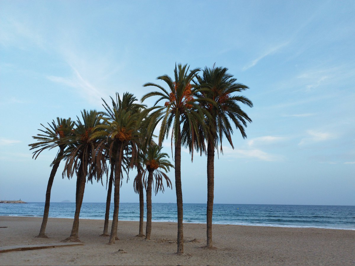 📍 Villajoyosa/ La Vila Joiosa.

#bonjour #bondia #OctubreRosa #Octubrismo #viajar #Spain #lavilajoiosa #alacant #BuenMiercoles #BuenosDías #viulavila #vivelavila