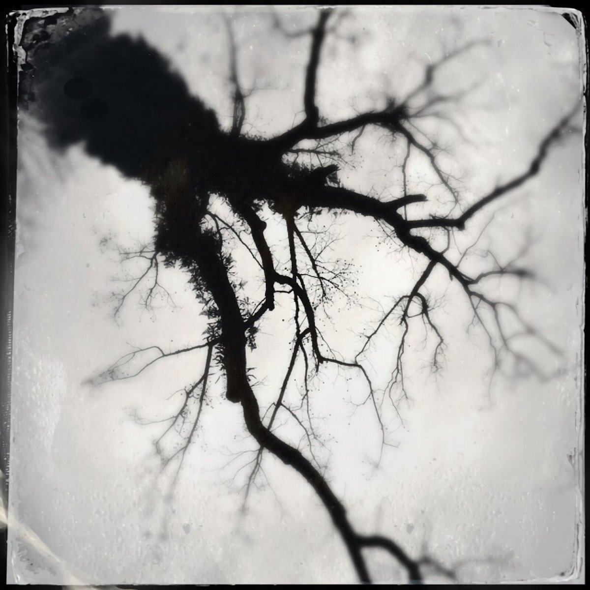 yo (Lu Tsung-yu) tweet media