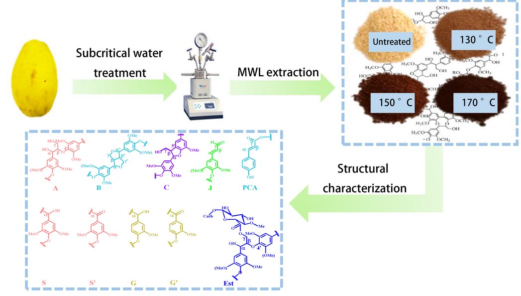 Molecules_MDPI's tweet photo. #HighlyCitedPaper #HighlyAccessedPaper
Structural Changes in Milled Wood Lignin (#MWL) of Chinese #Quince (Chaenomeles sinensis) Fruit Subjected to #Subcritical Water Treatment
By: Guang-Yong Qin, et al.
👉https://t.co/6JXUUXsrH4
📌#subcriticalwater #MWL
@ChemMatSci_MDPI https://t.co/vPpHUhbB1M