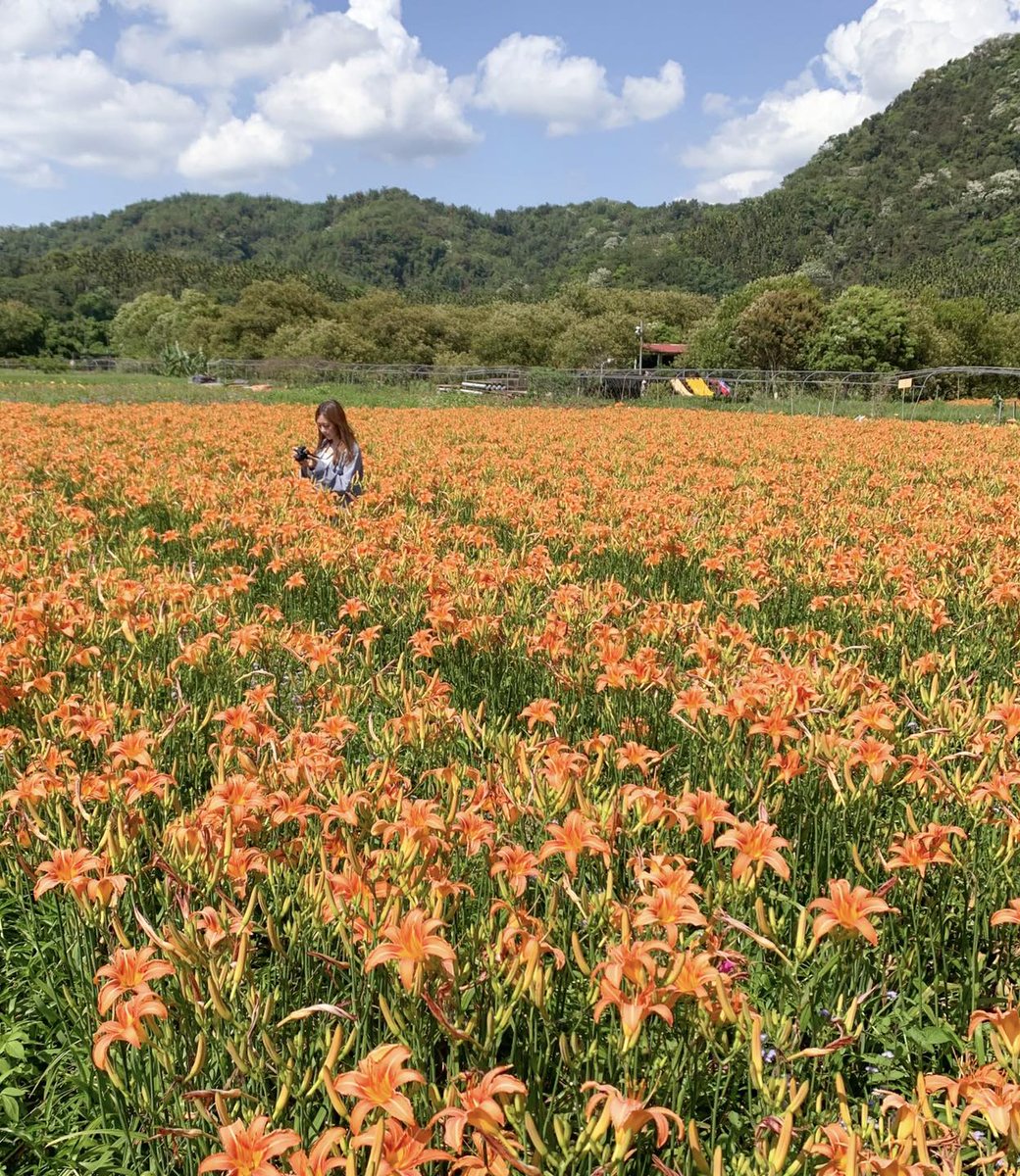TaiwanToday_TH's tweet photo. #ทะเลสาบสุริยันจันทรา ได้รับการจัดให้เป็น1ใน8สถานที่ท่องเที่ยวที่งดงามที่สุดใน #ไต้หวัน นอกจากนี้ #CNNGO เว็บไซต์การท่องเที่ยวของสหรัฐฯ ยังได้จัดให้ #เส้นทางปั่นจักรยาน รอบล้อมทะเลสาบฯ ติด1ใน10อันดับเส้นทางจักรยานที่สวยที่สุดในโลก(ภาพ:สนง.บริหารอุทยานแห่งชาติทะเลสาบสุริยันจันทรา) https://t.co/jkTO6uOfdm