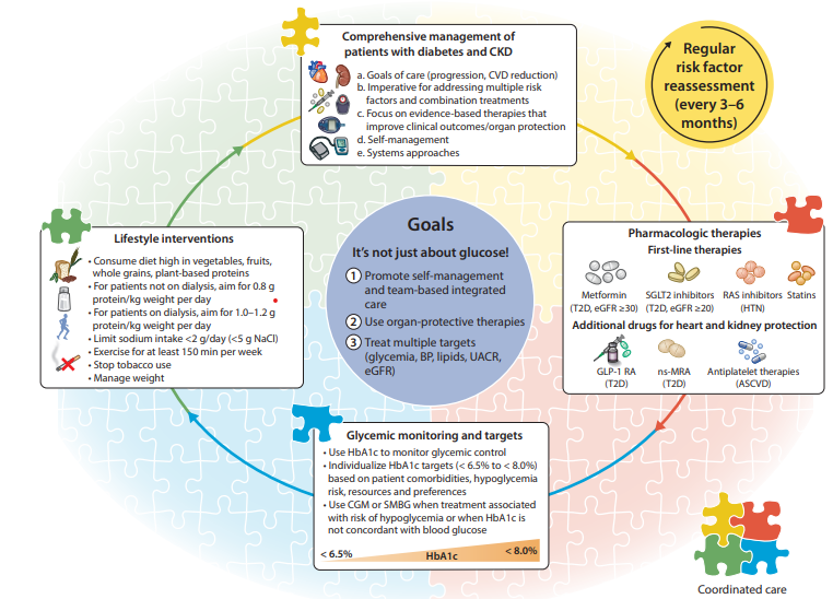 P_Rossing's tweet photo. see the updated 2022 KDIGO guideline to keep up with the changes in management of CKD and diabetes based on new treatment options. 
Thanks to all who contributed!
https://t.co/UZ0bsrlLkc
@goKDIGO @deboerih @KatherineTuttl8 @ChristophWanne4 https://t.co/TiTtGrZ5Sf