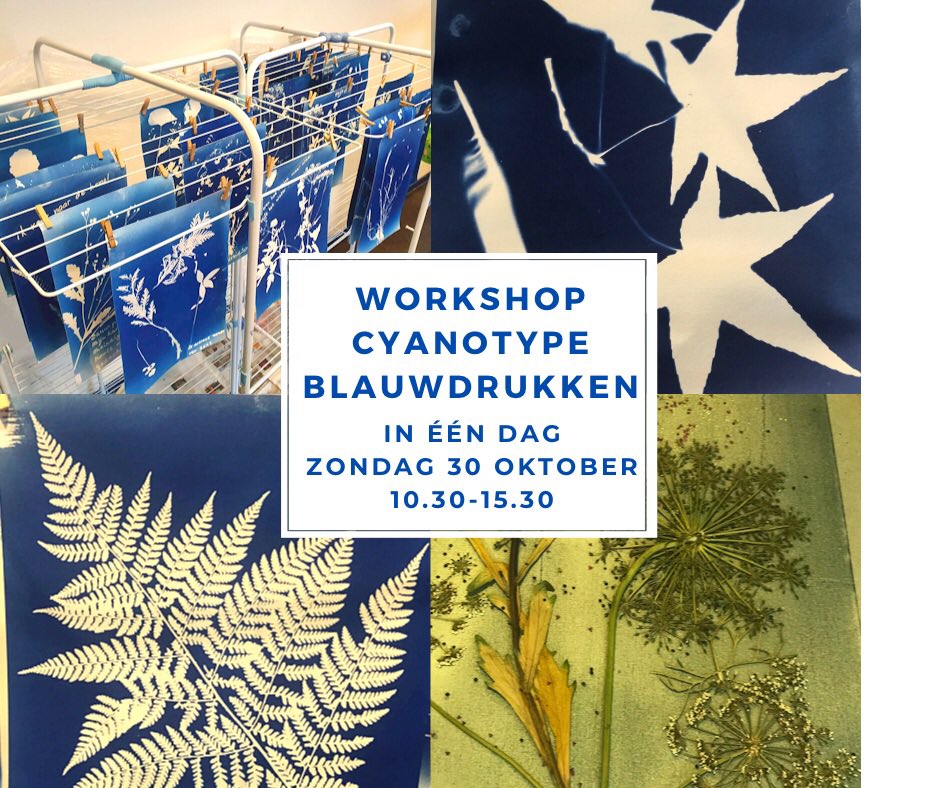 Workshop Cyanotype blauwdrukken in 1 dag, zondag 30 oktober geef ik weer een workshop op mijn atelier in Utrecht, Zuilen hetschildersbedrijf.nl/product/blauwd… #workshop #creatief #utrecht #herfstvakantie #zuilen