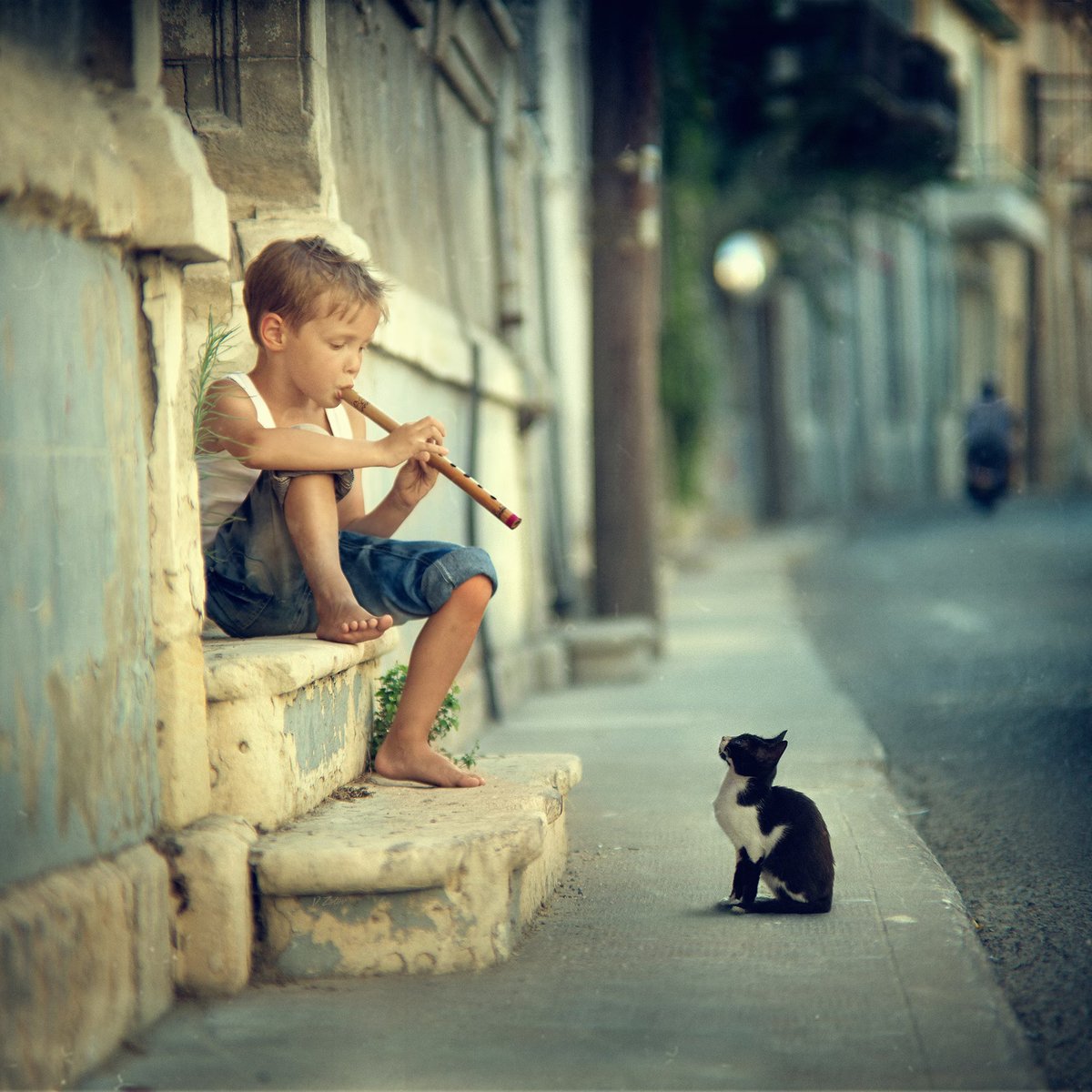 Street Flute
📷by <a href="/VladimirZotov6/">Vladimir Zotov</a>