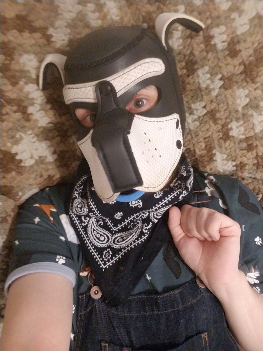 PupWilliam5337's tweet photo. New outfit! #diaperpup https://t.co/z5Zeteoxna