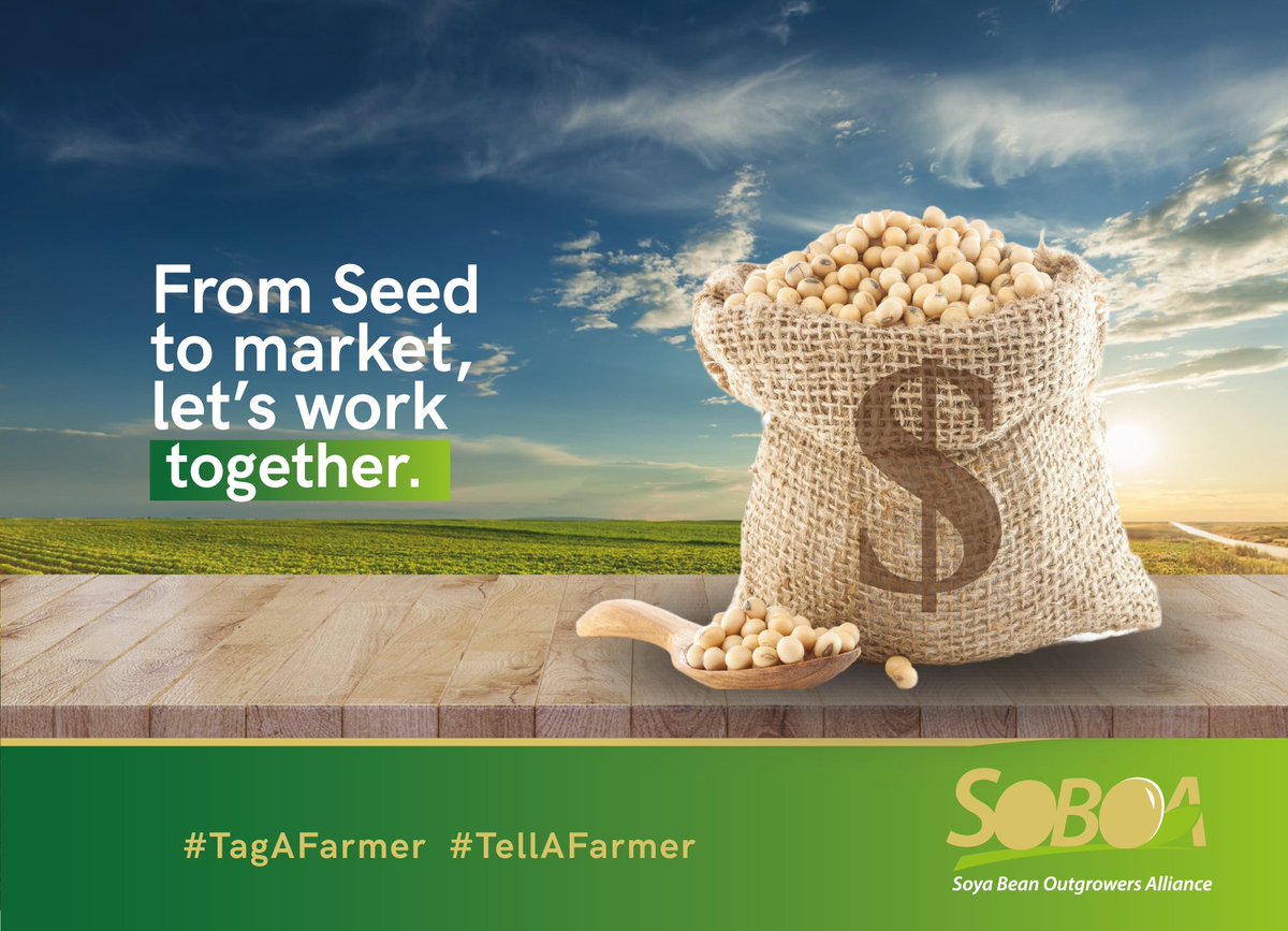soboazim's tweet photo. Join us on the journey to build a viable and vibrant Soya Bean value chain. From financing, inputs, farming expertise to produce marketing. Follow us and be part of this exciting journey. 

#TagAFarmer 
#TellAFarmer 
@BusisaMoyo 
@AMAofficial_zim https://t.co/Nahdppowes