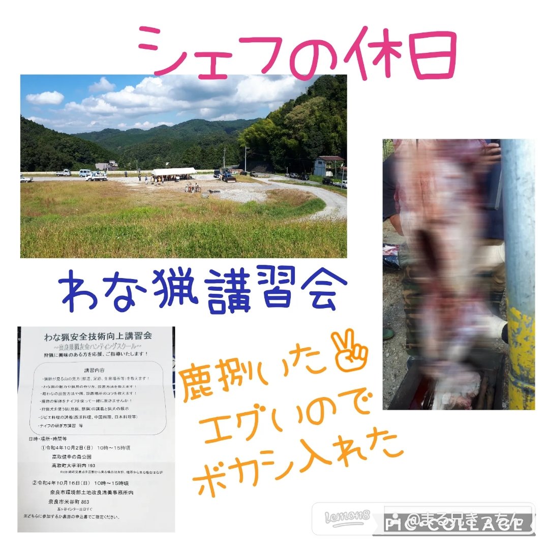 苔採取 Twitter Search Twitter 苔採取 Twitter Search Twitter