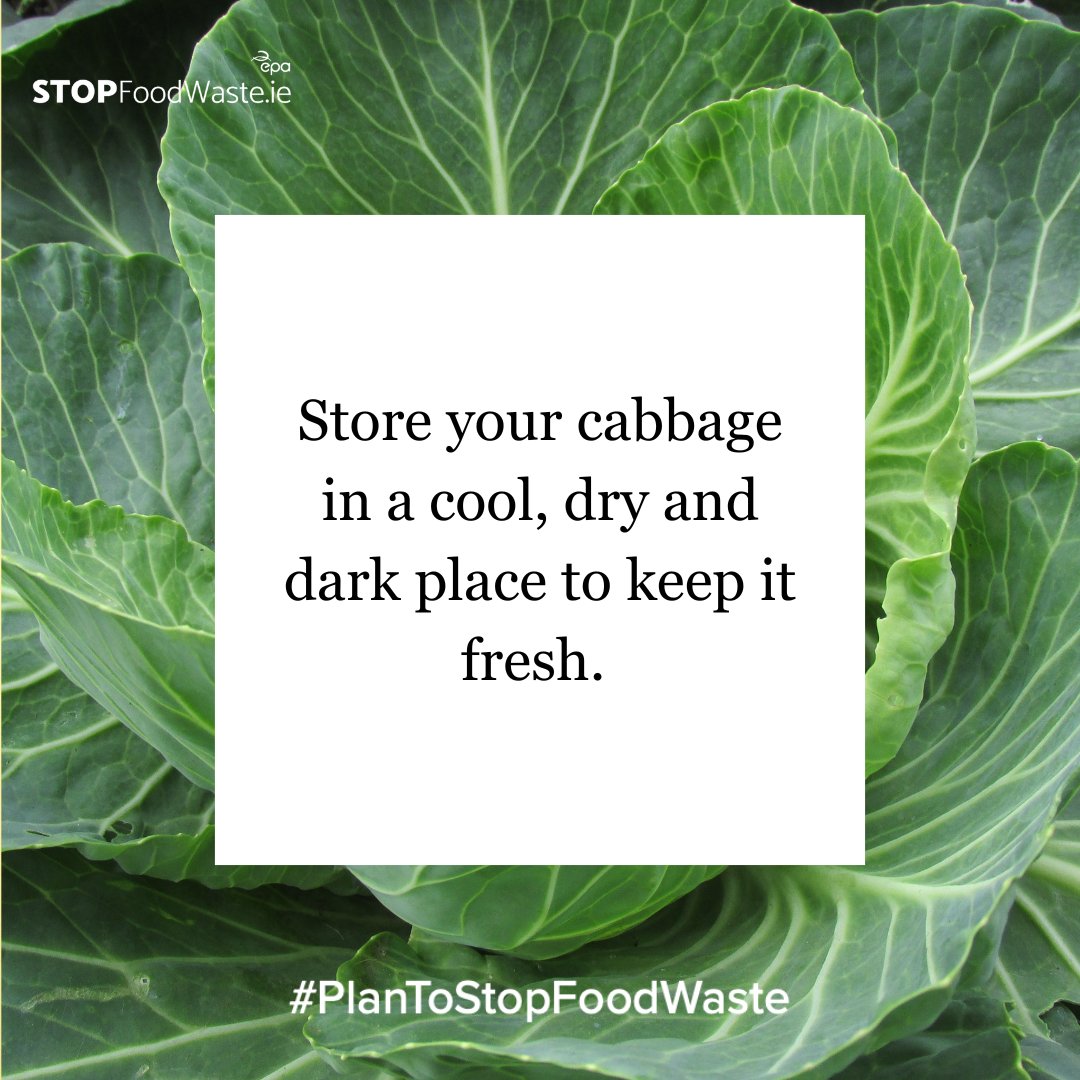Make the most of your cabbage while it’s in season this month:

1. Look for cabbage with firm leaves. 
2. Store in a cool, dry, dark space.
3. Cut and blanch before freezing.

Learn more of our tips on how to store food on our A-Z of Food: stopfoodwaste.ie/foods/cabbages…

#StopFoodWaste