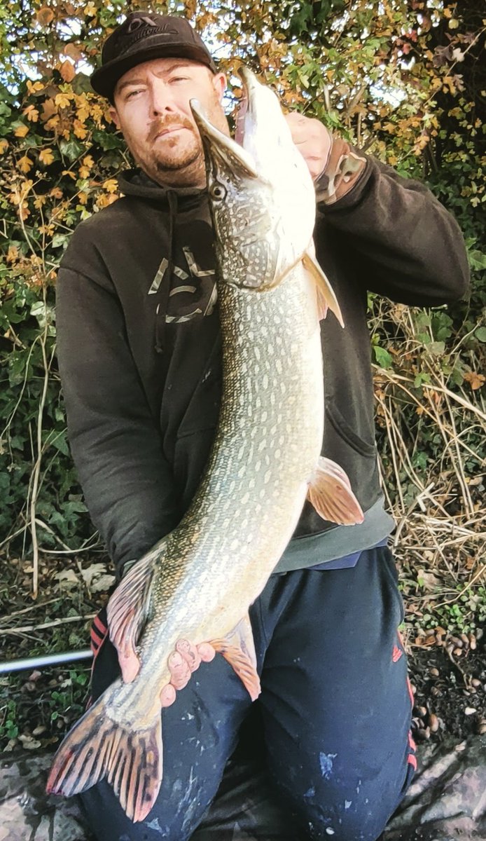 LeeFishPreston's tweet photo. 🐊🎣 https://t.co/yOFbpVNb4h