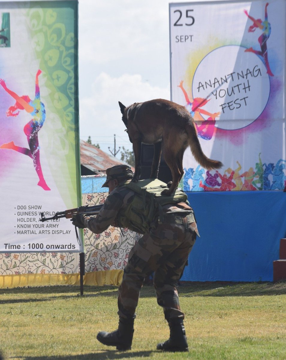 BharatDefenders's tweet photo. Under the aegis of @ChinarcorpsIA #Victorforce, Army Dog Unit conducted a dog show in the Anantnag Youth Festival.
The event showcased various specialties of Army dogs deployed for the security of the nation.
#Kashmir #Southkashmir https://t.co/RtzknheJTS