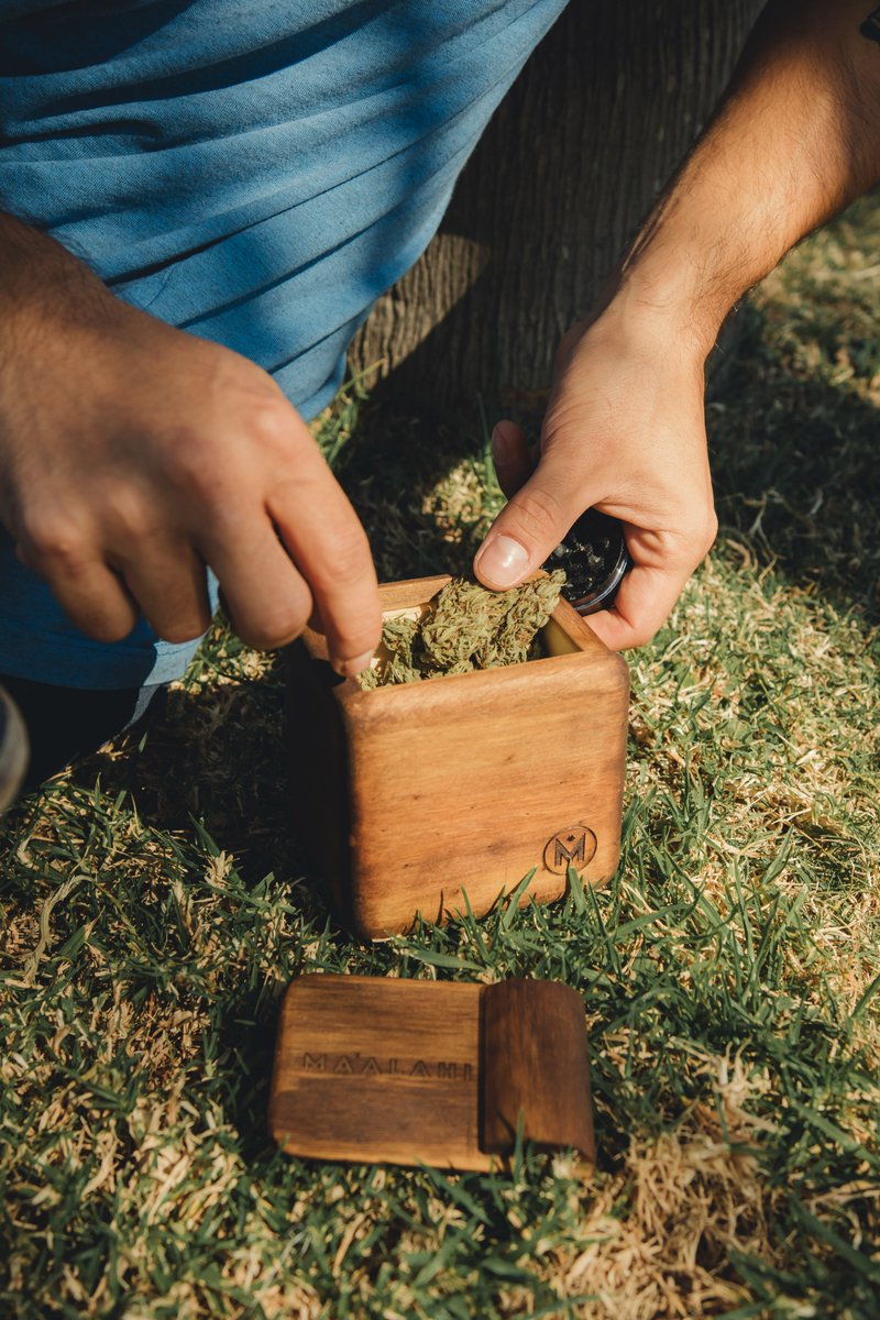 malaahi420's tweet photo. 🌱Les dejo este sorteazo de la Box Bolson XXL + un regalo sorpresa ...
Si todavía no estás participando entra a este link y enterate lo que tenés que hacer 👇
https://t.co/37a7fbRnj7
Se sortea el 21/10... yo te avise no seas volado🤙
#Sorteo
#chillbox
#plantas https://t.co/vUcxbGfGsP