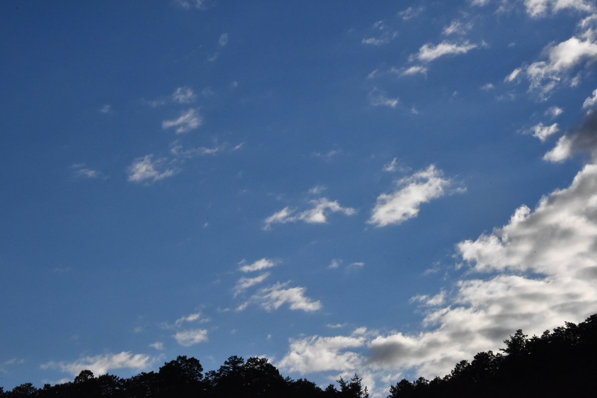 toto_kyotanabe's tweet photo. #イマソラ　なので！ https://t.co/LWceguKZJj