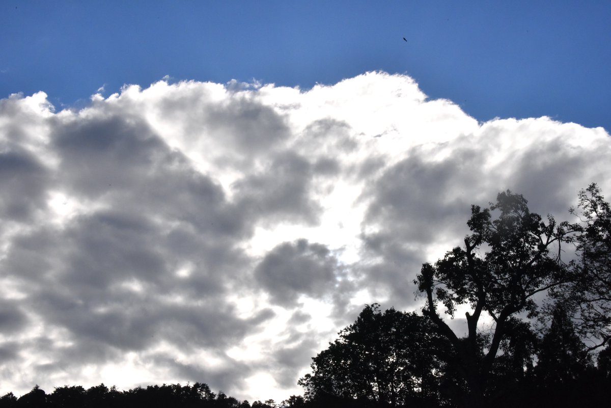 toto_kyotanabe's tweet photo. #イマソラ　なので！ https://t.co/LWceguKZJj