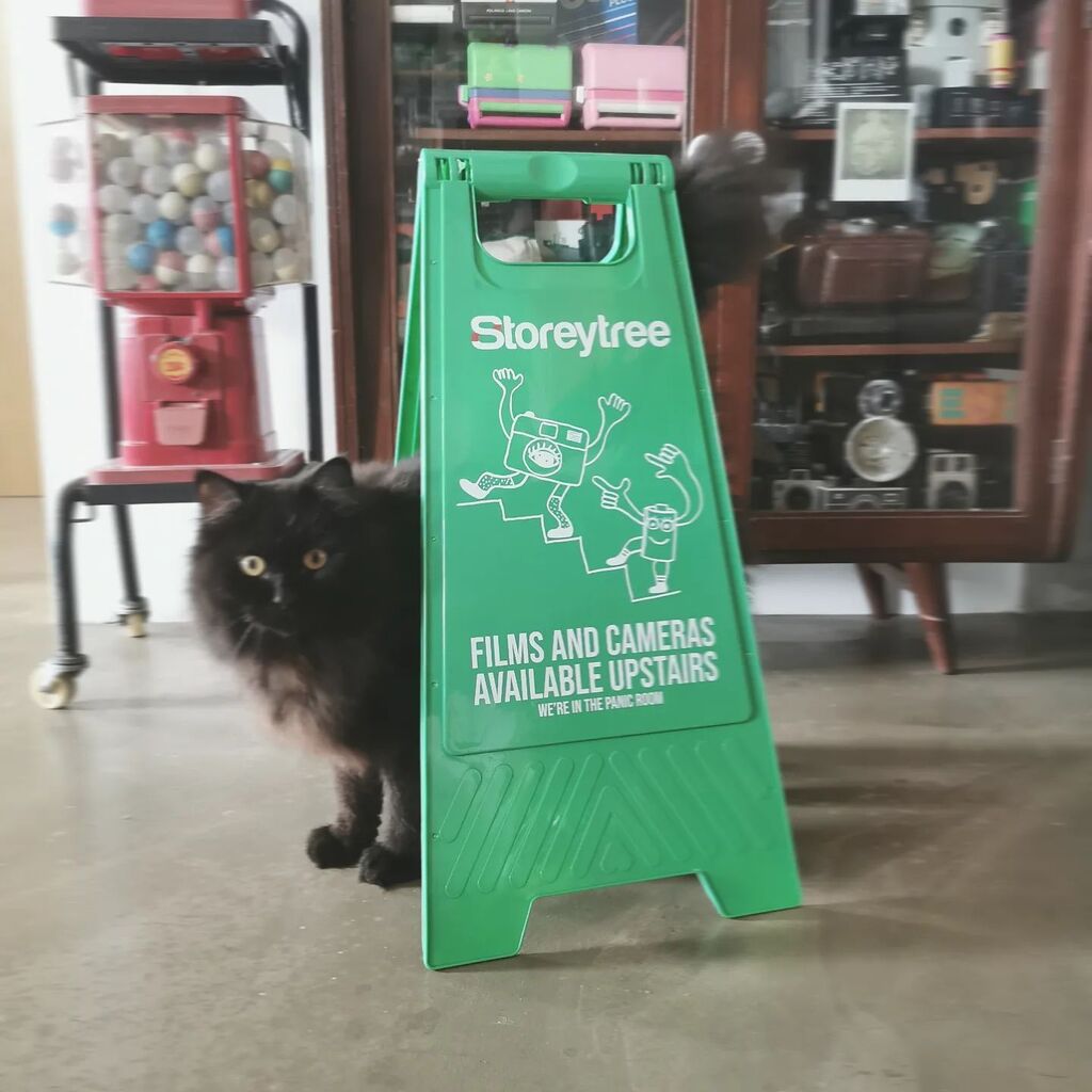 8storeytree's tweet photo. If u cant find us, we're upstairs, in @thepanicroom_sg
#filmcamerasg #ishootfilmsg #filmcamera #35mmfilm #filmphotography #8storeytree https://t.co/oVl78p87Ai https://t.co/PzLDoqseyF