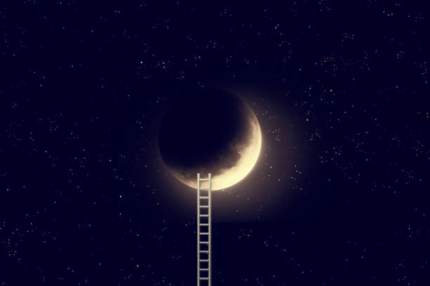HypSo_IFHS's tweet photo. Doux samedi soir à toutes et à tous ❤️
#weekend #bienêtre #joie #bonheur #instant #vie #sophrologie #hypnose #equilibre #ifhs #hypso #formation #distanciel #presentiel
Processus certifié #Qualiopi®
➡️ https://t.co/8YoW5UkExT https://t.co/uZswEHNRgN