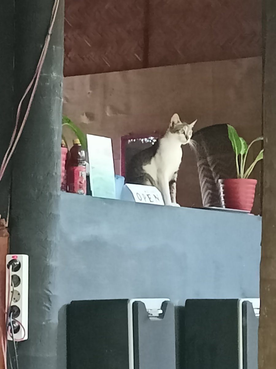 raizack_'s tweet photo. Ketika lo disuruh jaga warung, tapi sepi orang karna hujan mulu :( https://t.co/gCIaNzA1sf