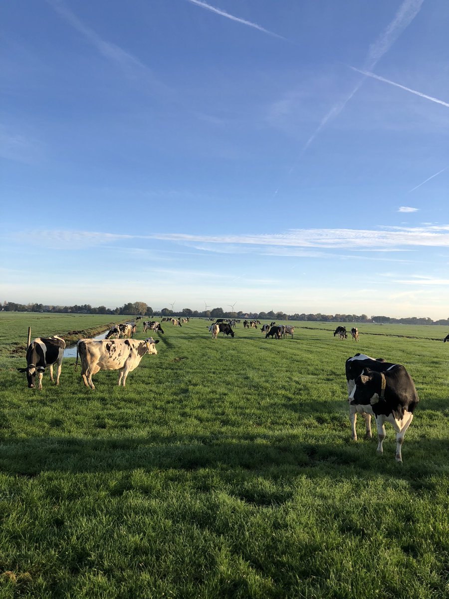 Bas Bassa tweet media