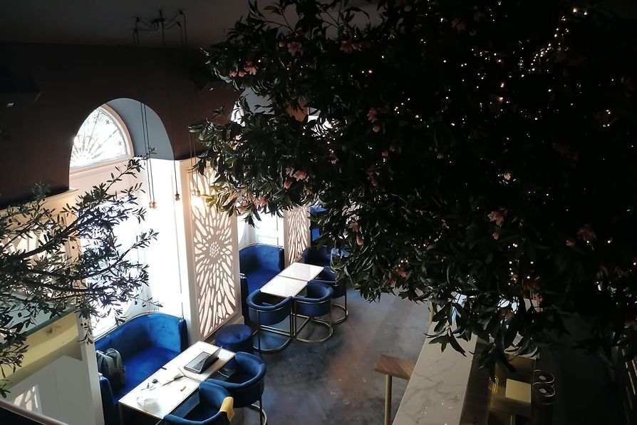 WienInfoB2B's tweet photo. Feiern Sie mit uns eine weitere Neueröffnung! 🥂 In Wiens Innenstadt gibt es mit dem #Treehaus eine spektakuläre neue Cocktailbar, in der ein echter Nussbaum aus dem Bartresen wächst 👉🏻 https://t.co/Kis0NJSAoZ © Treehaus #CelebrateVienna #ViennaNow https://t.co/l5JDdLdLhK