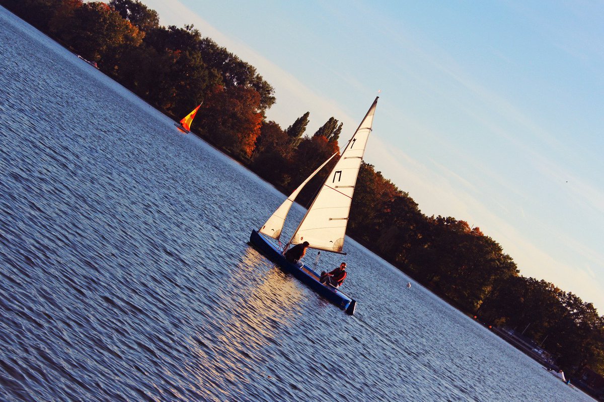 Tonya Paul (📸,💙💛)🪬 tweet media