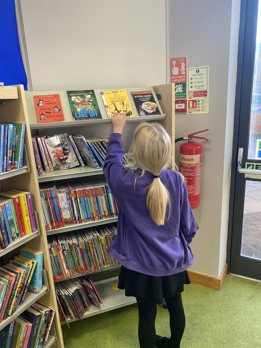 Y6LaceyField tweet media