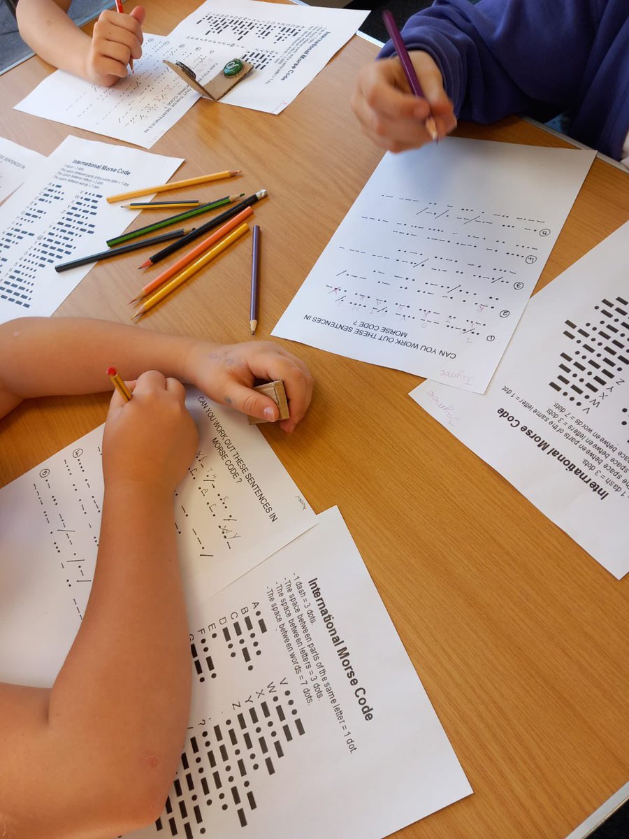 Y6LaceyField tweet media