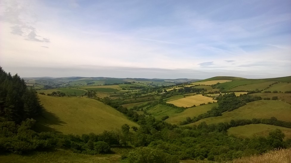 Shropshire Wildlife Trust tweet media