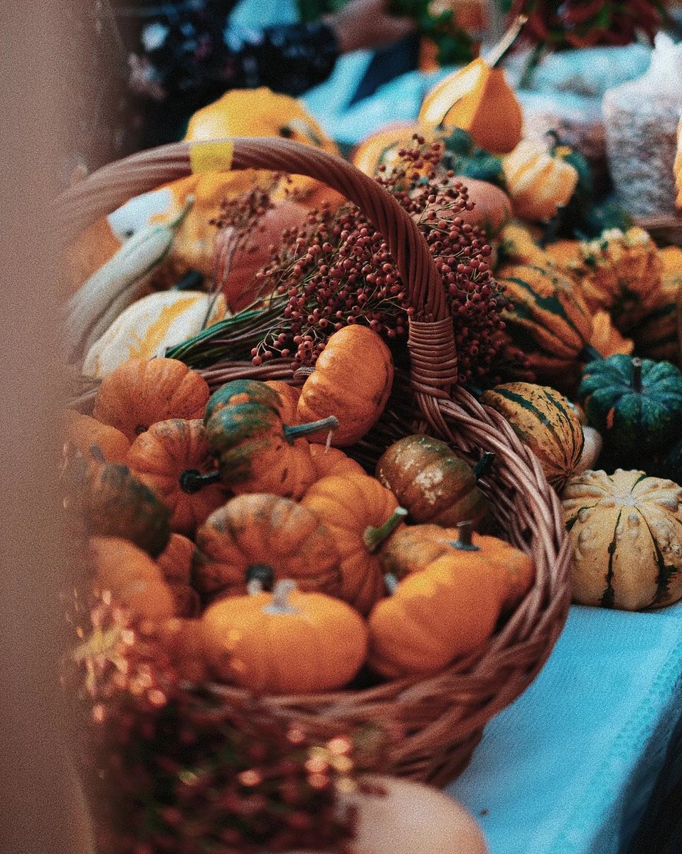Croatia_hr's tweet photo. Do you like pumpkins?
#FallingForCroatia #BestFallCroatiaBucketList
📸 _unapologetic_art https://t.co/sJoNJeTS2E