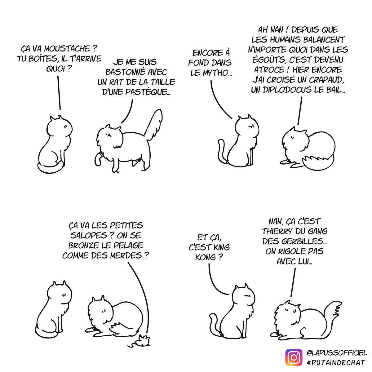 Putain_de_Chat's tweet photo. Le rat 1/2 #putaindechat
Les 📚dispo ici : 
➡️https://t.co/HyHocmoKjT 

#chat #rat https://t.co/yVQPvgN1Gm