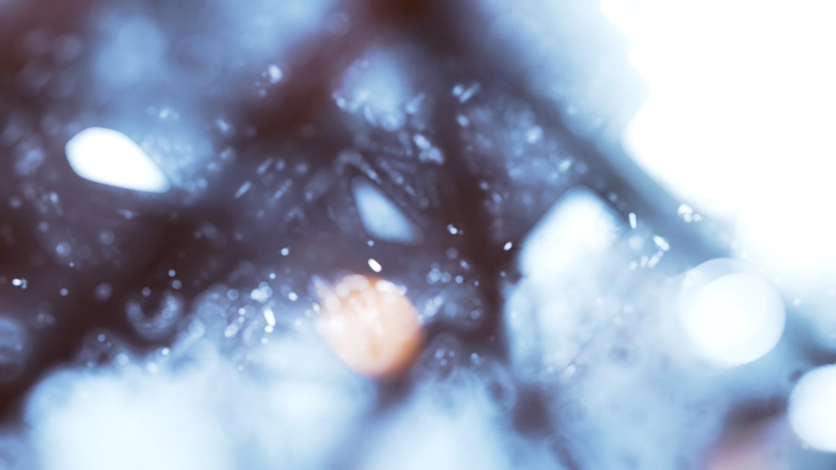 David Mcsween tweet media