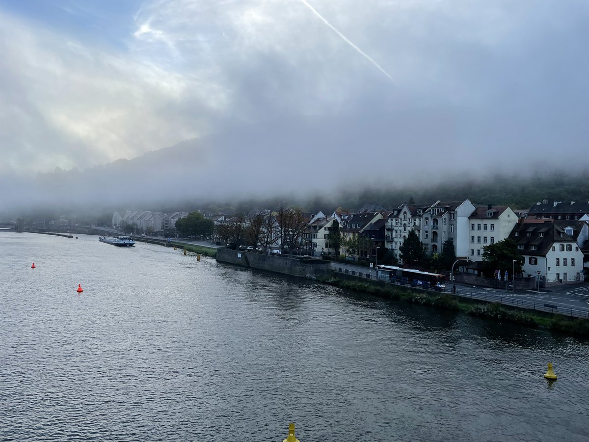 Castro Johnbosco tweet media