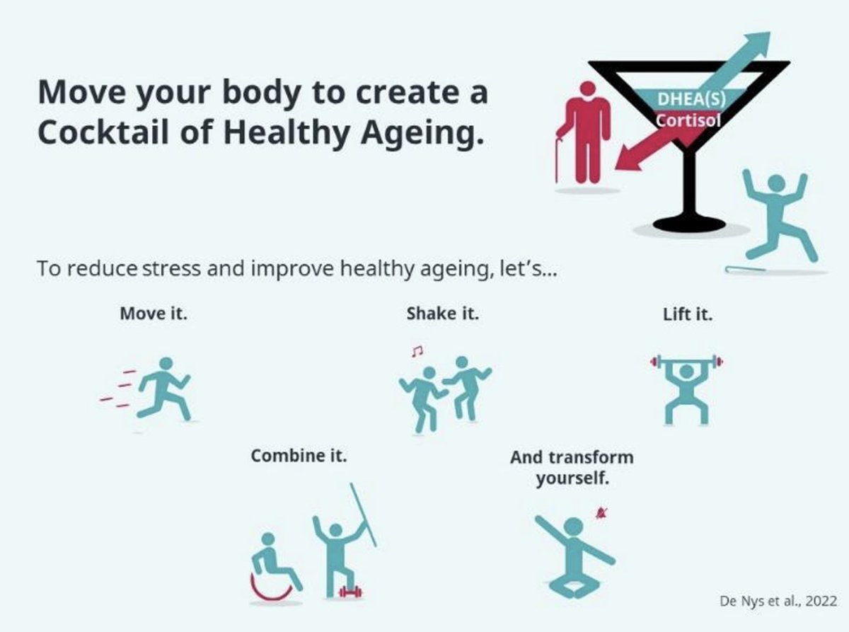 🚨 #NEW BJSM blog: The cocktail of healthy ageing 💃🍸

Exercise has MANY benefits! But did you know about its anti-aging effect?

How does physical activity affect levels of stress hormones and promote anti-ageing? 🧐

READ HERE ➡️ bit.ly/3yN891W