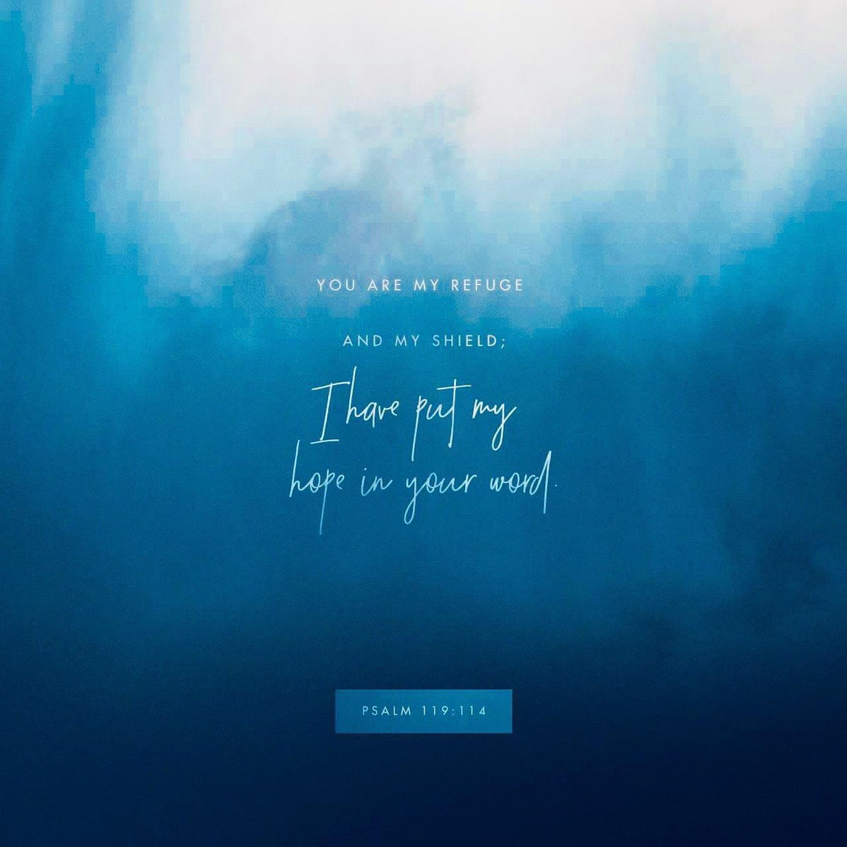 kimberlyroof's tweet photo. God is my refuge and my shield. I put my hope in Him. โค
#godismyrefuge #godismyprotector #hopeingod #godiswithme https://t.co/XxaFKLPVSc