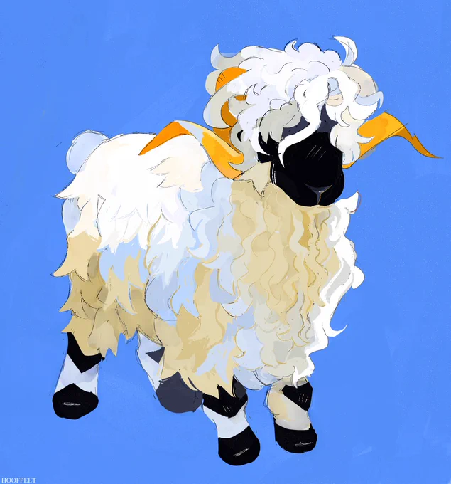 Valais Blacknose :]  